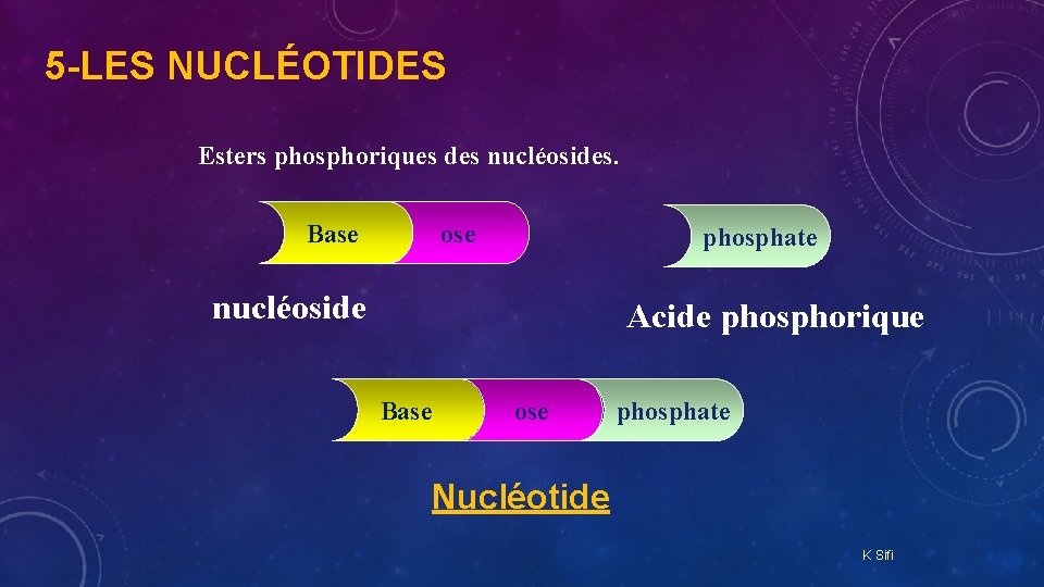 5 -LES NUCLÉOTIDES Esters phosphoriques des nucléosides. Base ose phosphate nucléoside Acide phosphorique Base 5 -LES NUCLÉOTIDES Esters phosphoriques des nucléosides. Base ose phosphate nucléoside Acide phosphorique Base