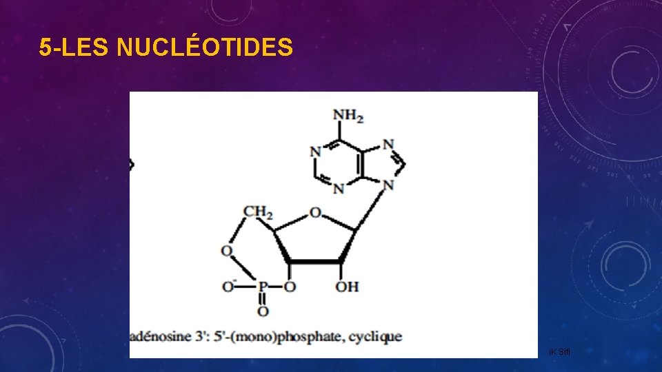 5 -LES NUCLÉOTIDES i. K Sifi 