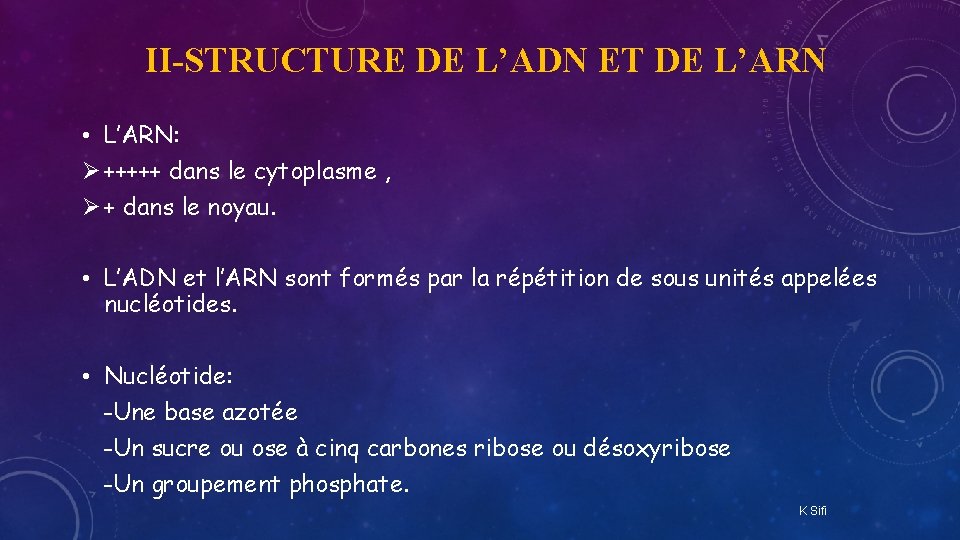 II-STRUCTURE DE L’ADN ET DE L’ARN • L’ARN: Ø +++++ dans le cytoplasme ,