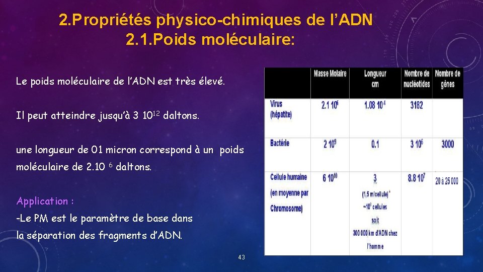 2. Propriétés physico-chimiques de l’ADN 2. 1. Poids moléculaire: Le poids moléculaire de l’ADN