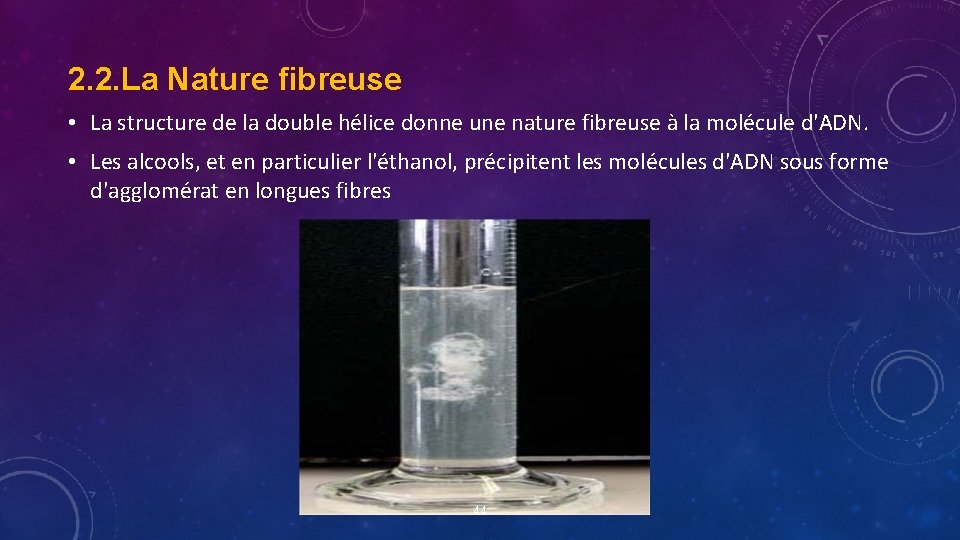 2. 2. La Nature fibreuse • La structure de la double hélice donne une