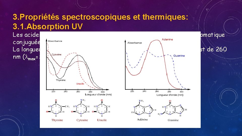 3. Propriétés spectroscopiques et thermiques: 3. 1. Absorption UV Les acides nucléiques absorbent les