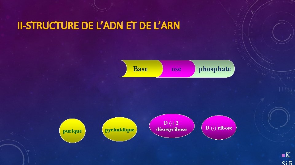 II-STRUCTURE DE L’ADN ET DE L’ARN Base purique pyrimidique ose D (-) 2 désoxyribose