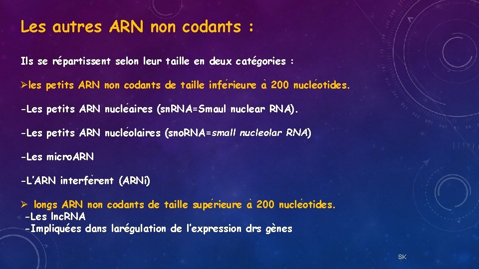 Les autres ARN non codants : Ils se répartissent selon leur taille en deux