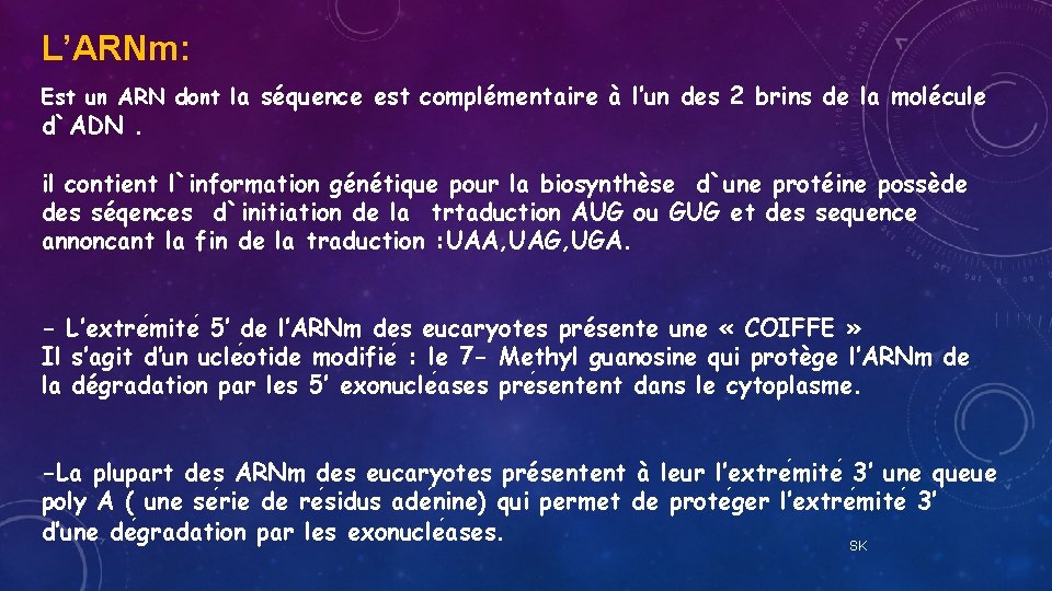 L’ARNm: Est un ARN dont la séquence est complémentaire à l’un des 2 brins