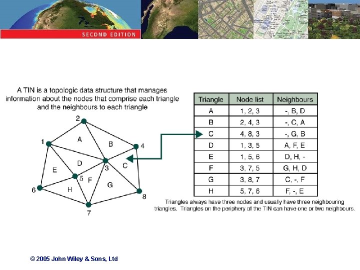 © 2005 John Wiley & Sons, Ltd 