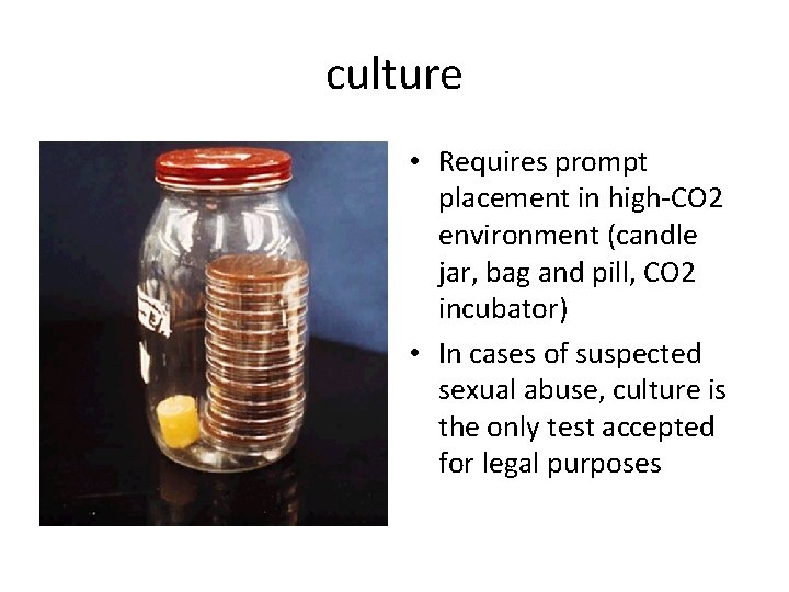 culture • Requires prompt placement in high-CO 2 environment (candle jar, bag and pill,