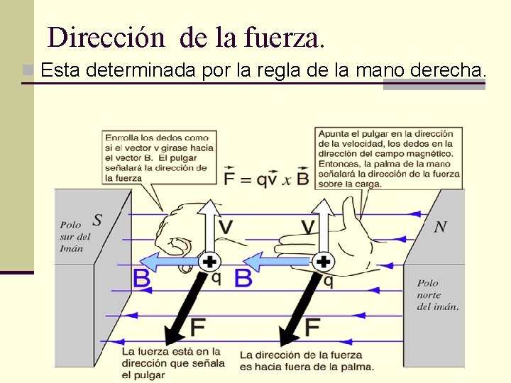 Dirección de la fuerza. n Esta determinada por la regla de la mano derecha.