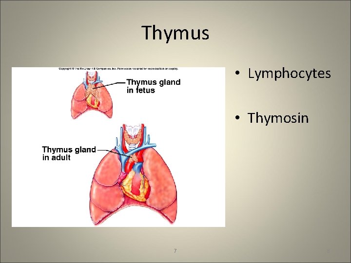 Thymus • Lymphocytes • Thymosin 7 8 