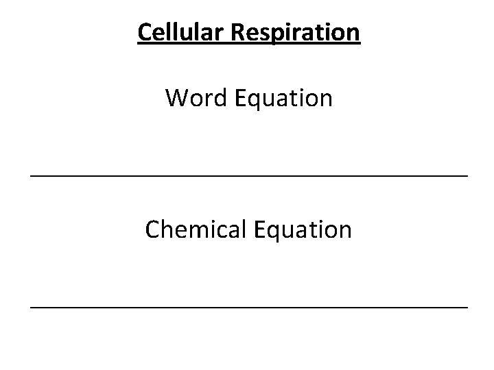Cellular Respiration Word Equation ________________ Chemical Equation ________________ 