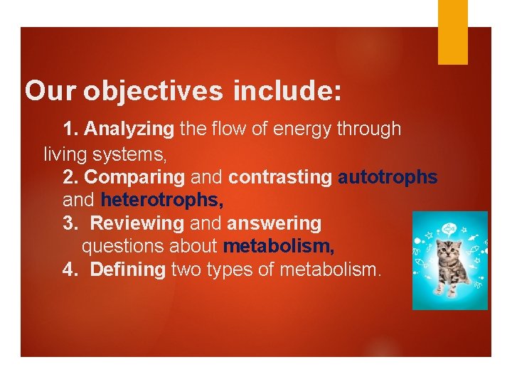Our objectives include: 1. Analyzing the flow of energy through living systems, 2. Comparing