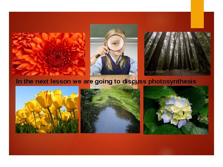 In the next lesson we are going to discuss photosynthesis 