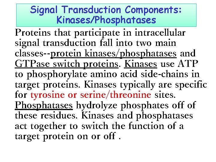 Signal Transduction Components: Kinases/Phosphatases Proteins that participate in intracellular signal transduction fall into two