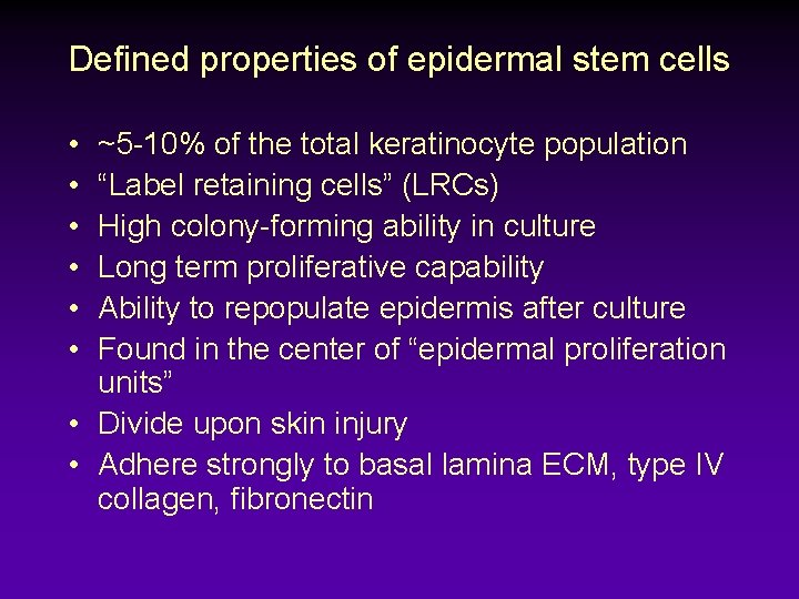 Defined properties of epidermal stem cells • • • ~5 -10% of the total