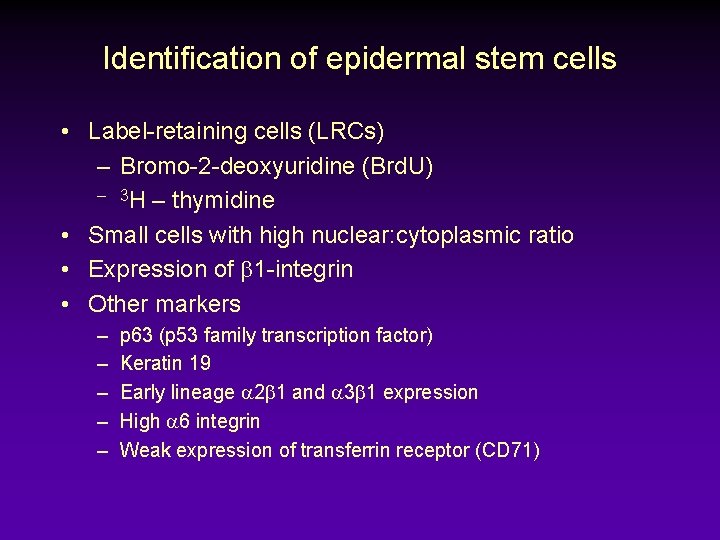 Identification of epidermal stem cells • Label-retaining cells (LRCs) – Bromo-2 -deoxyuridine (Brd. U)