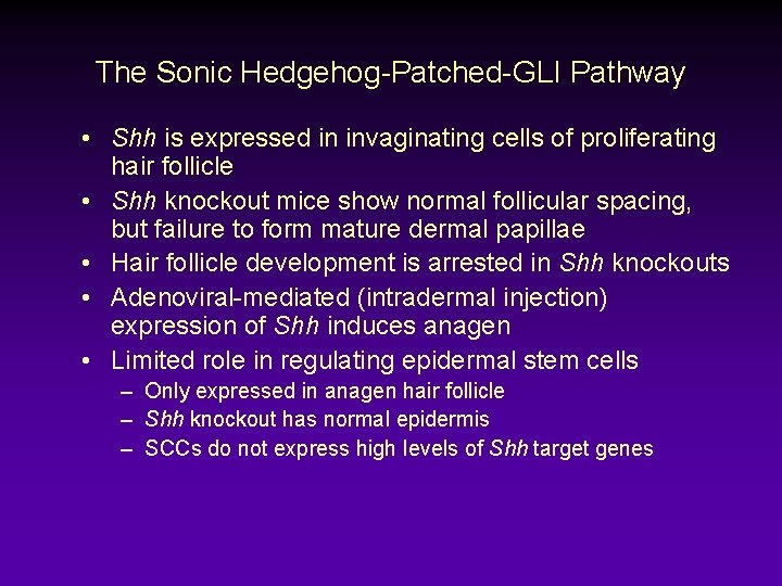 The Sonic Hedgehog-Patched-GLI Pathway • Shh is expressed in invaginating cells of proliferating hair