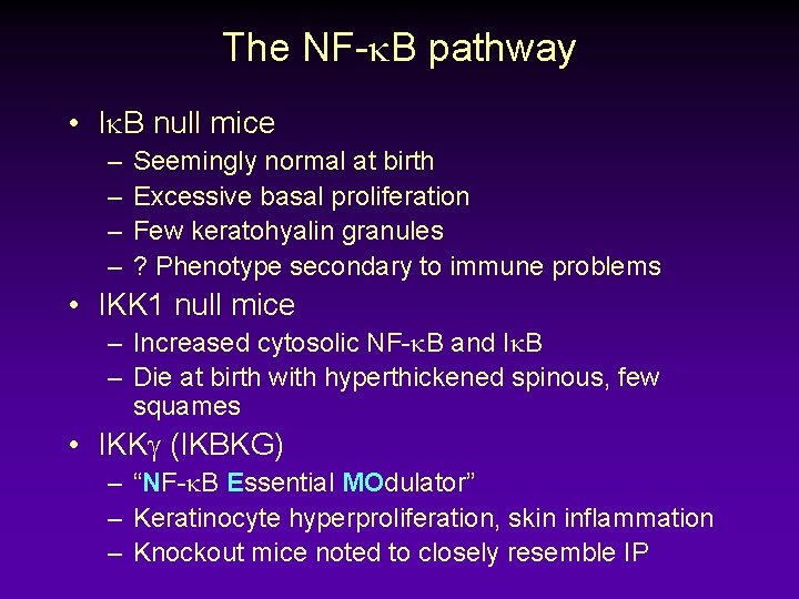 The NF-k. B pathway • Ik. B null mice – – Seemingly normal at