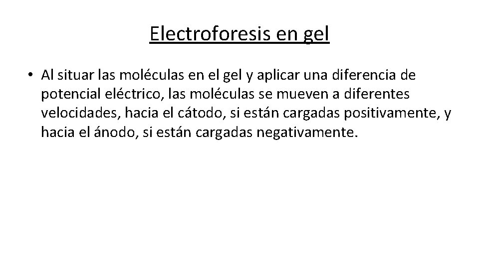 Electroforesis en gel • Al situar las moléculas en el gel y aplicar una