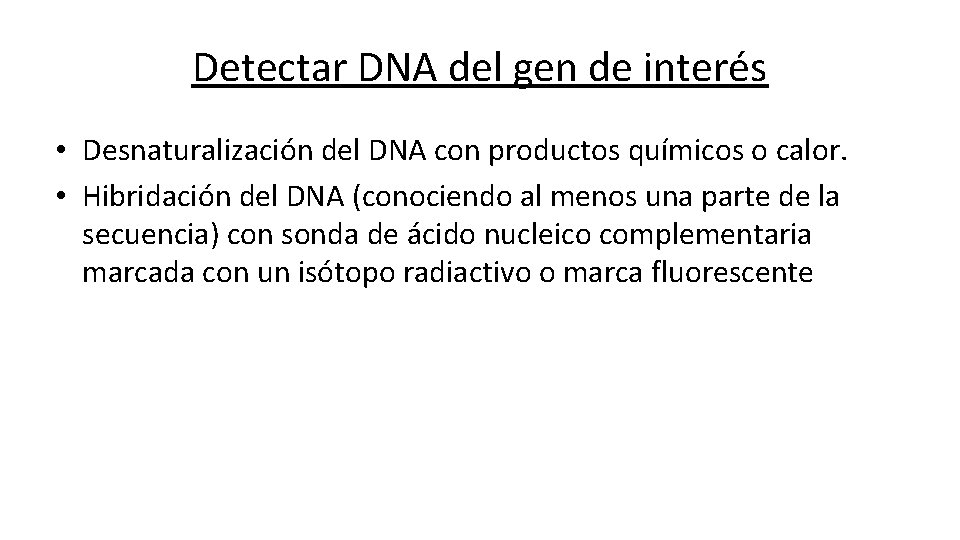 Detectar DNA del gen de interés • Desnaturalización del DNA con productos químicos o