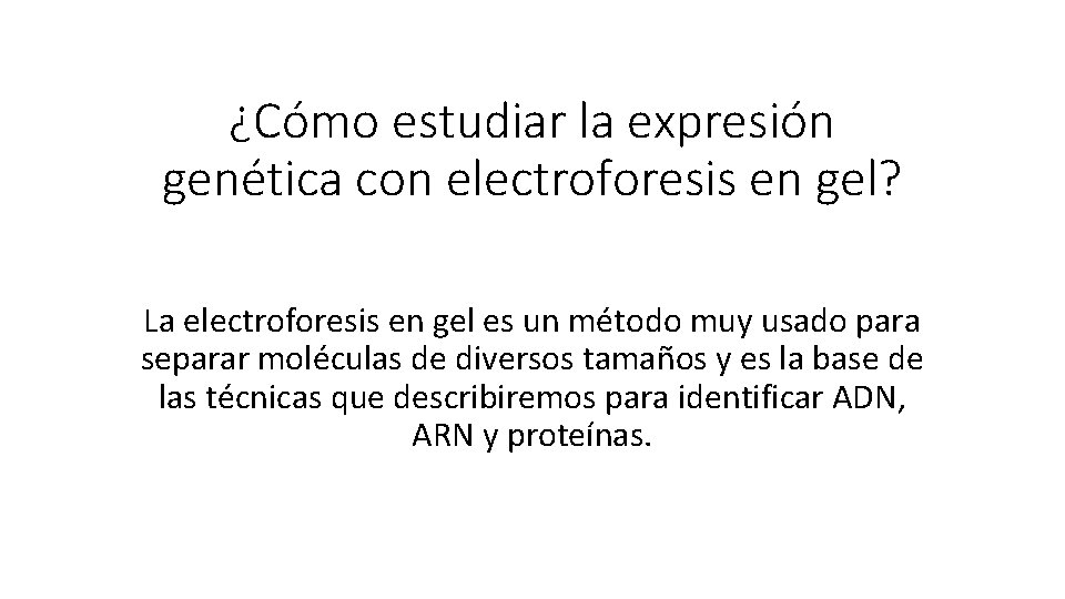 ¿Cómo estudiar la expresión genética con electroforesis en gel? La electroforesis en gel es
