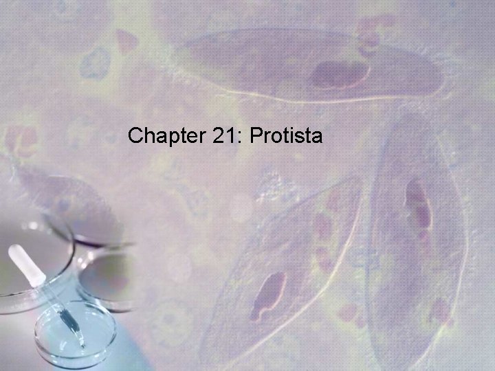 Chapter 21: Protista Chapter 21: Protista