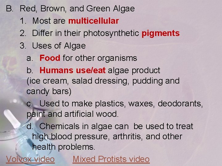 B. Red, Brown, and Green Algae 1. Most are multicellular 2. Differ in their B. Red, Brown, and Green Algae 1. Most are multicellular 2. Differ in their