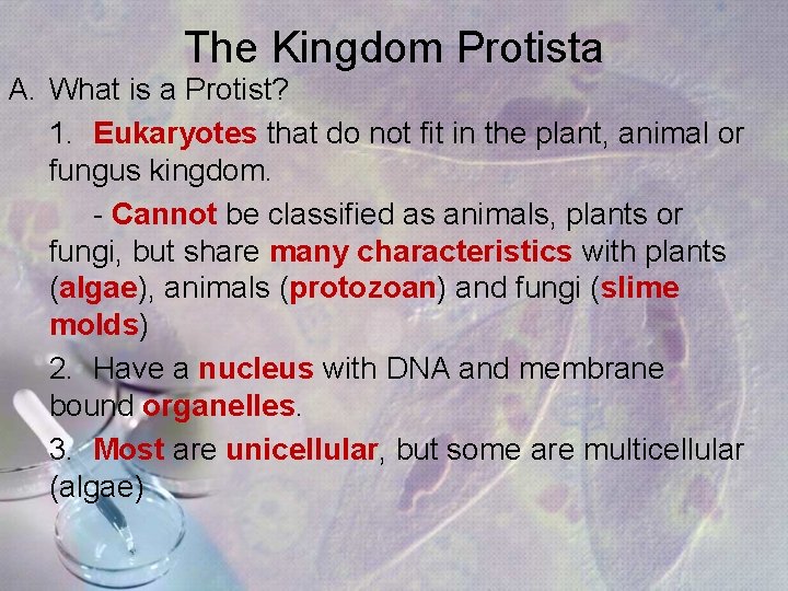 The Kingdom Protista A. What is a Protist? 1. Eukaryotes that do not fit The Kingdom Protista A. What is a Protist? 1. Eukaryotes that do not fit