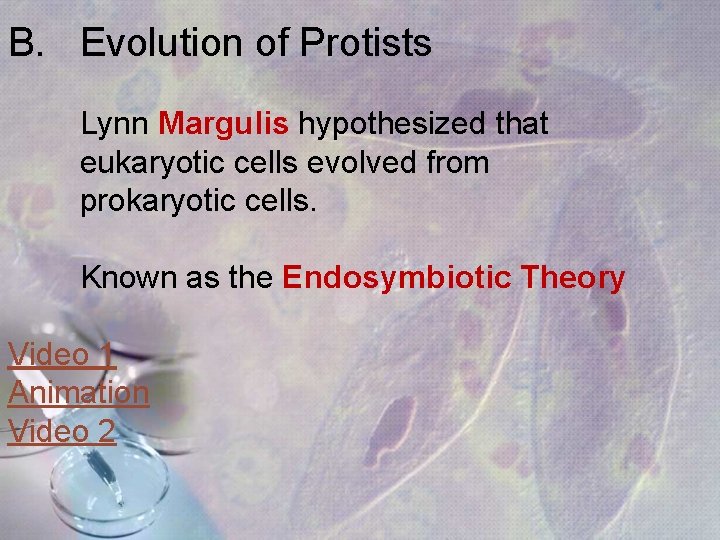 B. Evolution of Protists Lynn Margulis hypothesized that eukaryotic cells evolved from prokaryotic cells. B. Evolution of Protists Lynn Margulis hypothesized that eukaryotic cells evolved from prokaryotic cells.