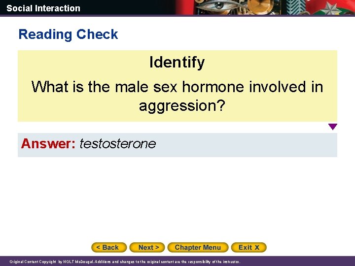 Social Interaction Reading Check Identify What is the male sex hormone involved in aggression?