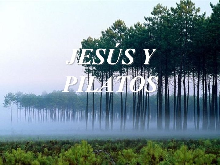 JESÚS Y PILATOS JESÚS Y PILATOS
