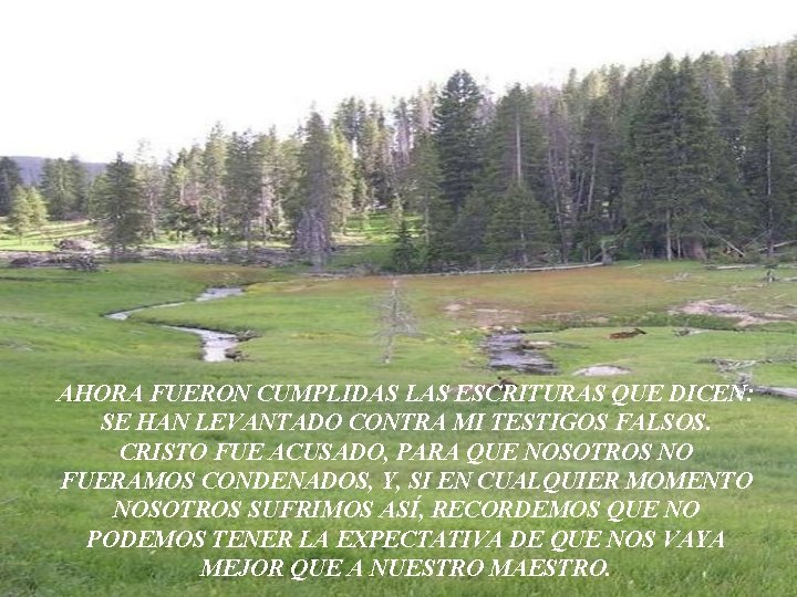 AHORA FUERON CUMPLIDAS LAS ESCRITURAS QUE DICEN: SE HAN LEVANTADO CONTRA MI TESTIGOS FALSOS. AHORA FUERON CUMPLIDAS LAS ESCRITURAS QUE DICEN: SE HAN LEVANTADO CONTRA MI TESTIGOS FALSOS.