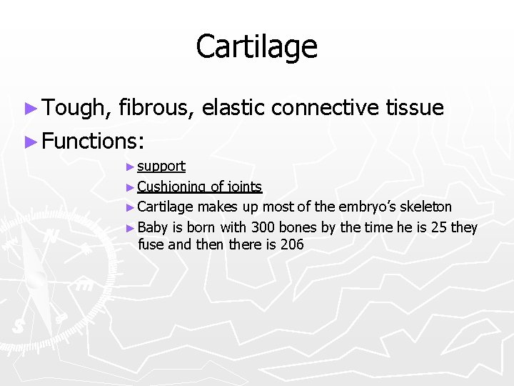 Cartilage ► Tough, fibrous, elastic connective tissue ► Functions: ► support ► Cushioning of
