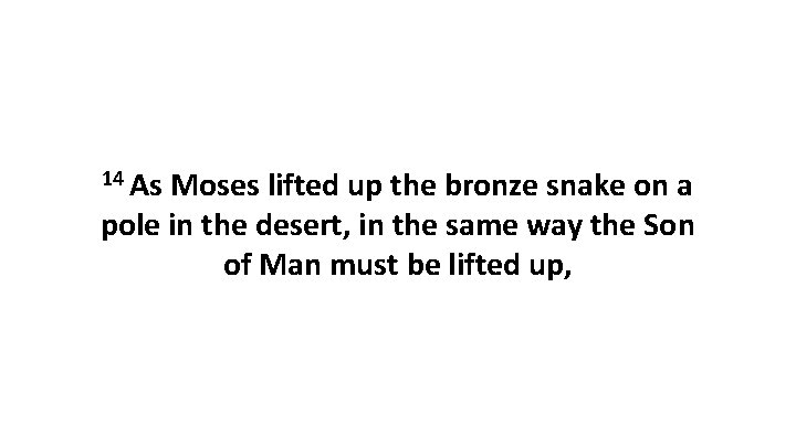 14 As Moses lifted up the bronze snake on a pole in the desert,