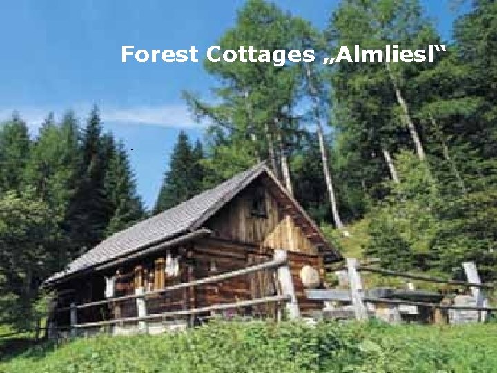 Forest Cottages „Almliesl“ 