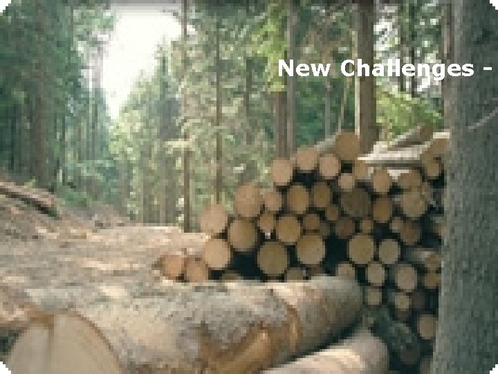 New Challenges - 