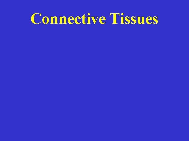Connective Tissues 