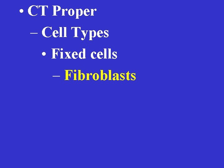  • CT Proper – Cell Types • Fixed cells – Fibroblasts 