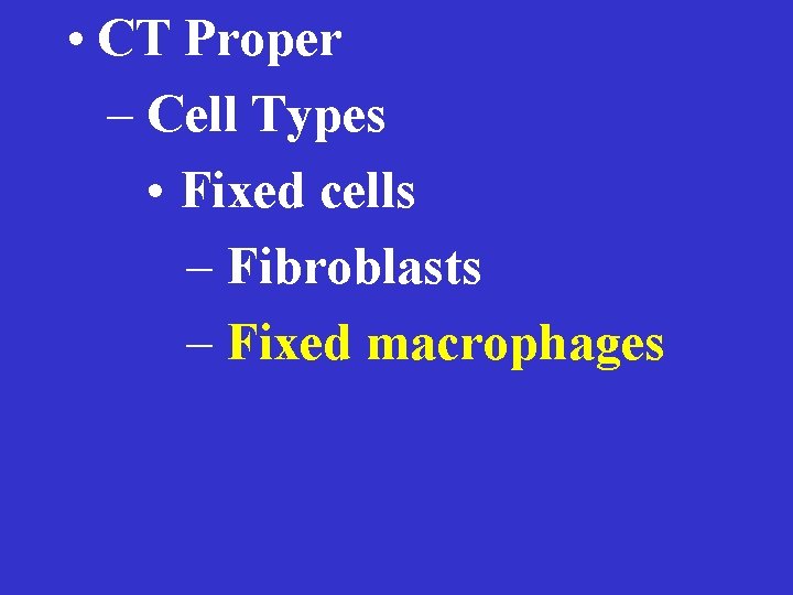  • CT Proper – Cell Types • Fixed cells – Fibroblasts – Fixed