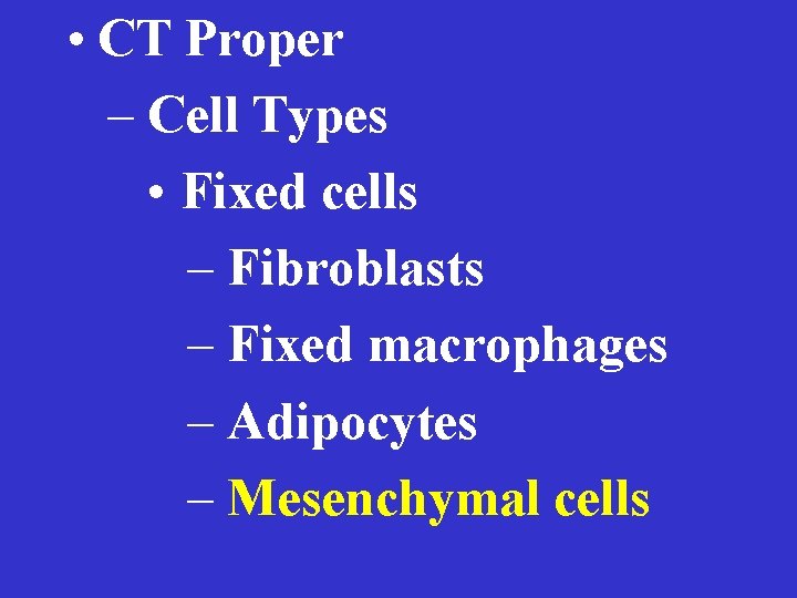  • CT Proper – Cell Types • Fixed cells – Fibroblasts – Fixed