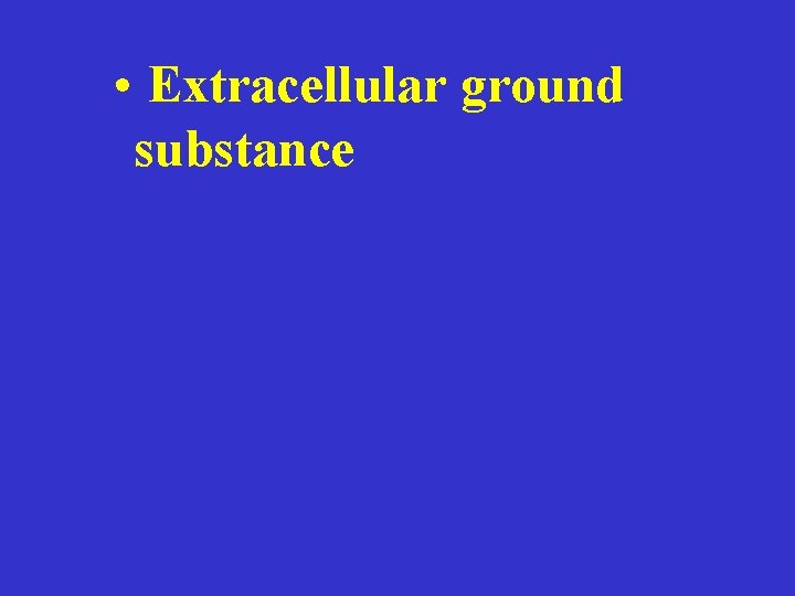  • Extracellular ground substance 