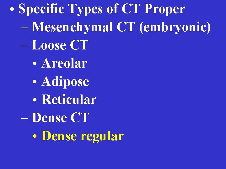  • Specific Types of CT Proper – Mesenchymal CT (embryonic) – Loose CT