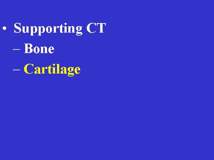  • Supporting CT – Bone – Cartilage 