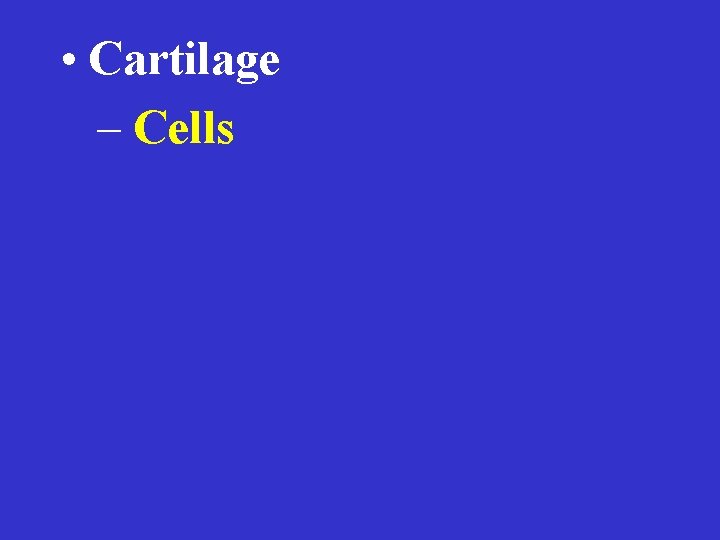  • Cartilage – Cells 