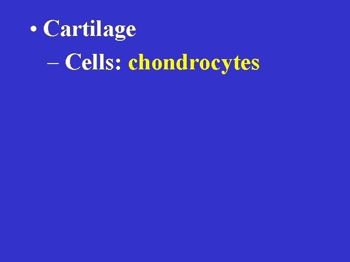  • Cartilage – Cells: chondrocytes 