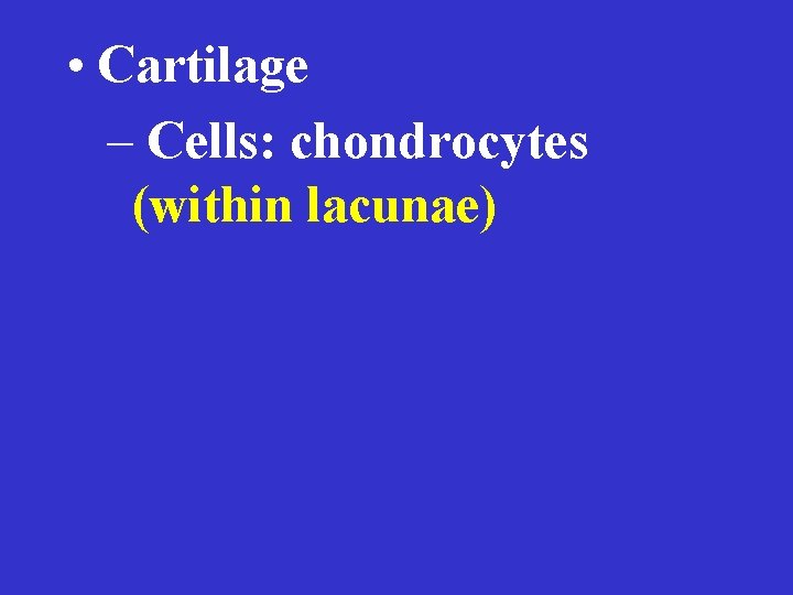  • Cartilage – Cells: chondrocytes (within lacunae) 