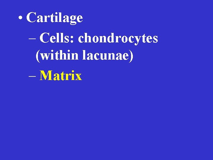  • Cartilage – Cells: chondrocytes (within lacunae) – Matrix 