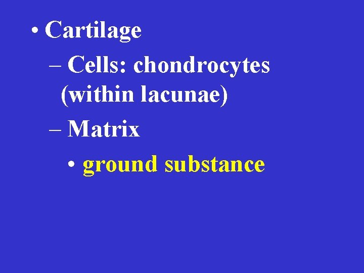  • Cartilage – Cells: chondrocytes (within lacunae) – Matrix • ground substance 