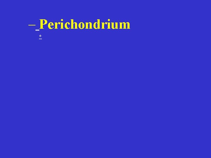 – Perichondrium * 