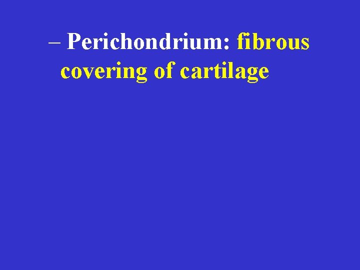 – Perichondrium: fibrous covering of cartilage 