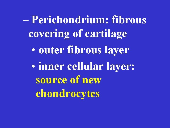 – Perichondrium: fibrous covering of cartilage • outer fibrous layer • inner cellular layer: